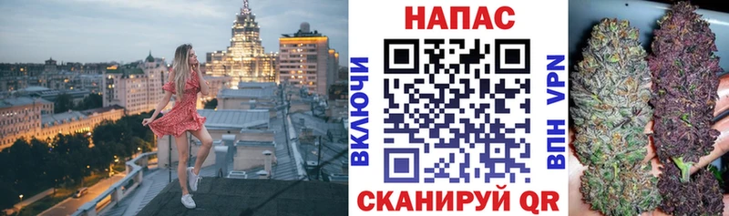 кракен онион  Салаир  Шишки марихуана Amnesia  закладки 